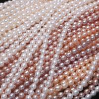 Rice Cultured Freshwater Pearl Beads, DIY 5-6mm .96 Inch 