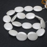 Natural White Shell Beads, Ellipse, DIY, white .75 Inch 