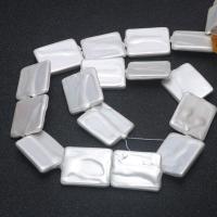 Natural White Shell Beads, Rectangle, DIY, white .75 Inch 