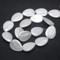 Natural White Shell Beads, Teardrop, DIY, white .75 Inch 