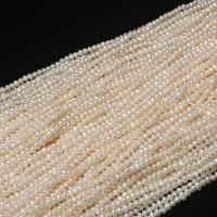 Potato Cultured Freshwater Pearl Beads, Ellipse, DIY, white, 2-3mm .75 Inch 