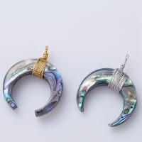 Abalone Shell Pendants, with Zinc Alloy, Horn, plated, fashion jewelry 