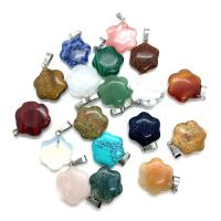 Gemstone ювелирные изделия Кулон, Природный камень, Форма цветка, различные материалы для выбора & Мужская, Много цветов для выбора продается PC