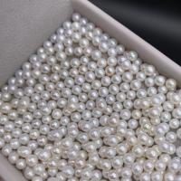 Naturel d'eau douce perles, perle d'eau douce cultivée, Rond, DIY, blanc, 3.5-4.5mm, Vendu par PC