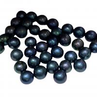 Natürliche Süßwasser, lose Perlen, Natürliche kultivierte Süßwasserperlen, rund, DIY, schwarz, 9.5-10.5mm, verkauft von PC