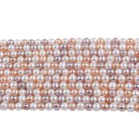 Perlas Redondas Freshwater, Perlas cultivadas de agua dulce, Esférico, Bricolaje, color mixto, 8-9mm, longitud:14.96 Inch, Vendido por Sarta