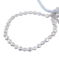 Coin Cultured Freshwater Pearl Beads, Flat Round, DIY, white, 11-12mm .96 Inch 