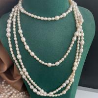 Süßwasser-Zuchtperlen -Strickjacke-Ketten -Halskette, Natürliche kultivierte Süßwasserperlen, für Frau, weiß, Länge:180 cm, verkauft von PC