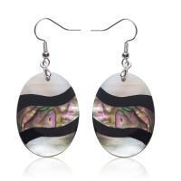 Abalone Shell Earring, with Zinc Alloy, Ellipse, silver color plated, for woman 
