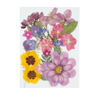 décoration de maison de fleur artificielle, Fleurs séchées, DIY Vendu par sac