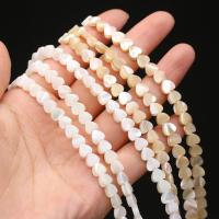 Seashell Beads, Natural Seashell, Heart, DIY Approx 15 Inch 