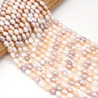 Bouton de culture des perles d'eau douce, perle d'eau douce cultivée, DIY & normes différentes pour le choix, couleurs mélangées Environ 15 pouce, Vendu par brin