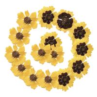 décoration de maison de fleur artificielle, Fleurs séchées, DIY, plus de couleurs à choisir, 25-45mm Vendu par sac