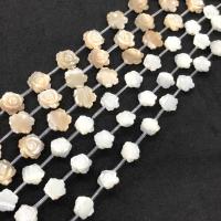 Perles en coquille naturel, Rose, DIY & normes différentes pour le choix, plus de couleurs à choisir Environ 14.96 pouce, Vendu par brin