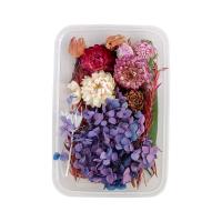 Flores secas Caja de la flor en conserva, hecho a mano, Bricolaje & diferentes estilos para la opción, más colores para la opción, 170*115mm,210*150mm, Vendido por Caja