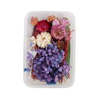 Fleurs séchées Flower Box préservé, fait à la main, DIY & styles différents pour le choix, plus de couleurs à choisir Vendu par boîte