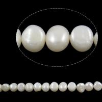 Perles nacres baroques de culture d'eau douce , perle d'eau douce cultivée, plus de couleurs à choisir, Niveau AA, 10-11mm Environ 0.8mm pouce, Vendu par brin
