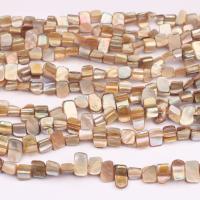 Natural Freshwater Shell Beads, DIY, yellow, 2-15mm Approx 38 cm, 45- 