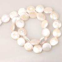 Coin Cultured Freshwater Pearl Beads, DIY, white, 13-14mm Approx 38 cm 