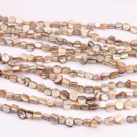 Natural Freshwater Shell Pendants, DIY, mixed colors, 2-15mm Approx 38 cm 