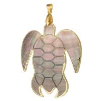 Brass Shell Pendants, with Shell, Turtle, gold color plated, fashion jewelry & DIY Approx 4mm 