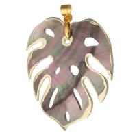 Brass Shell Pendants, with Shell, Leaf, gold color plated, fashion jewelry & DIY Approx 4mm 