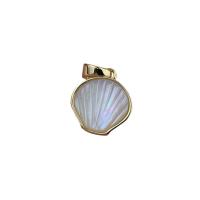 White Shell Pendants, gold color plated, DIY, golden 
