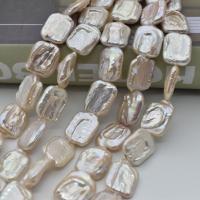 Barock kultivierten Süßwassersee Perlen, Natürliche kultivierte Süßwasserperlen, Quadrat, DIY, gemischte Farben, 13x17mm, Länge:ca. 38 cm, 23-25PCs/Strang, verkauft von Strang