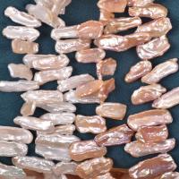 Barock kultivierten Süßwassersee Perlen, Natürliche kultivierte Süßwasserperlen, DIY, keine, 8-20mm, Länge:ca. 38 cm, 55-60PCs/Strang, verkauft von Strang