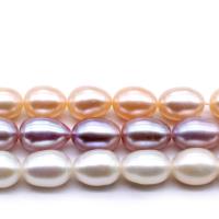 Rice Cultured Freshwater Pearl Beads, polished, DIY .96 Inch 