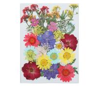 Flores secas Flores secas, Bricolaje, 145x105mm, Vendido por Bolsa