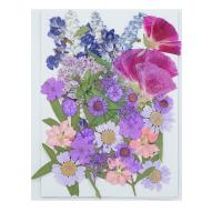 Decoración de Flores Artificiales, Flores secas, Bricolaje, 145x105mm, Vendido por Bolsa