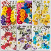 décoration de maison de fleur artificielle, Fleurs séchées, DIY & styles différents pour le choix, plus de couleurs à choisir Vendu par sac