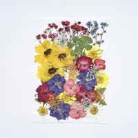 décoration de maison de fleur artificielle, Fleurs séchées, DIY & styles différents pour le choix Vendu par sac