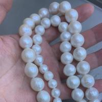 Perlas Redondas Freshwater, Perlas cultivadas de agua dulce, diverso tamaño para la opción, agujero:aproximado 0.8mm, longitud:aproximado 15 Inch, Vendido por Sarta