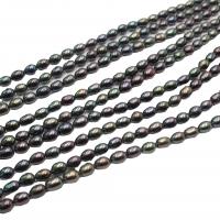 Rice Cultured Freshwater Pearl Beads, DIY, black, 6-7mm cm 