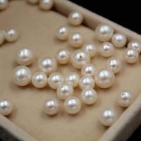 Half Drilled Cultured Freshwater Pearl Beads, DIY, white 