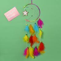Fashion Dream Catcher, Feather, with Wood & Iron, handmade, multi-colored .62 Inch 