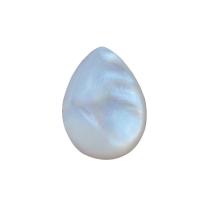 Seashell Cabochon, Natural Seashell, Teardrop, polished, DIY  