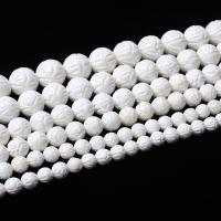 Abalorios de Nácar Blanca Natural, Bricolaje, Blanco, longitud:aproximado 38 cm, Vendido por Sarta