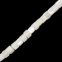 Natural White Shell Beads, Cube, DIY, mixed colors, 4-6mm cm 