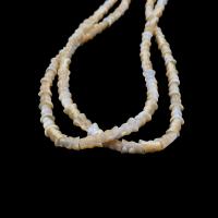 La Perla de Concha Natural, Nácar, Bricolaje, color café, 2-10mm, longitud:aproximado 39 cm, Vendido por Sarta