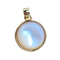 Brass Shell Pendants, with White Shell, Round, gold color plated, DIY, golden, 13mm 