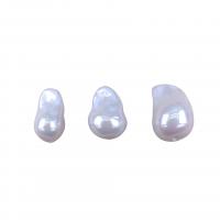 South Sea Shell Beads, Baroque white, 10-15mm 