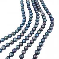 Perlas Redondas Freshwater, Perlas cultivadas de agua dulce, Esférico, Negro, 8-9mm, longitud:aproximado 15.7 Inch, aproximado 50PCs/Sarta, Vendido por Sarta
