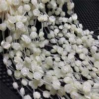 Pearl Shell Beads, Rose, DIY, white Approx 38 cm 