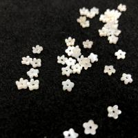 Perles en coquille naturel, coquille d'eau douce, fleur, fait à la main, DIY, blanc, 4.5mm, Vendu par PC