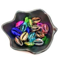 Perles de coquille de mer, Placage, DIY, plus de couleurs à choisir Vendu par sac