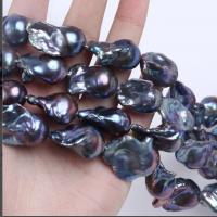 Barock kultivierten Süßwassersee Perlen, Natürliche kultivierte Süßwasserperlen, DIY, schwarz, 16-23mm, Länge:ca. 15 ZollInch, verkauft von Strang
