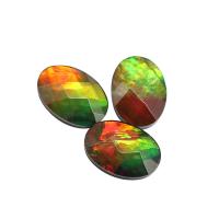 Ammolite Cabochon, Oval, polished, DIY mixed colors 
